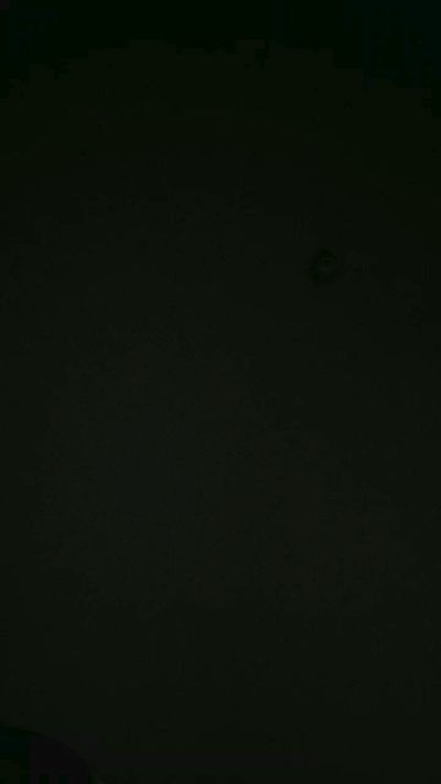 Hairy_Wookiee from Australia