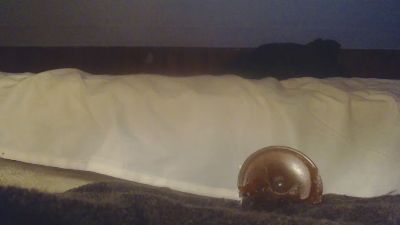 buttstufferx5 from United States